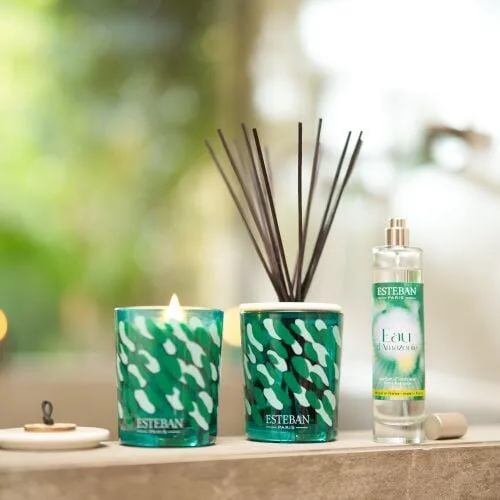 Difuzor deco. Amazon Water 100ml - Esteban Paris Parfums - Image 2