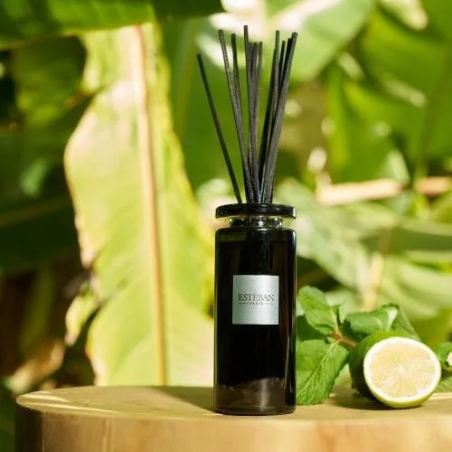 Rezerva Parfum 250ml  Amazon Water - Esteban Paris Parfums - Image 3