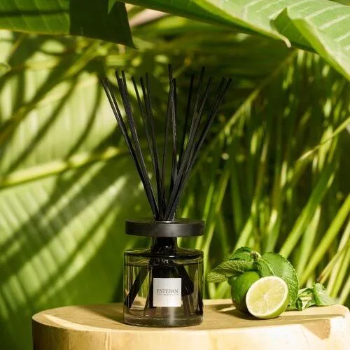 Rezerva Parfum 250ml  Amazon Water - Esteban Paris Parfums - Image 6