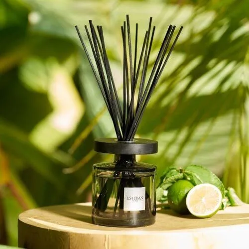 Rezerva Parfum 500ml  Amazon Water - Esteban Paris Parfums - Image 3