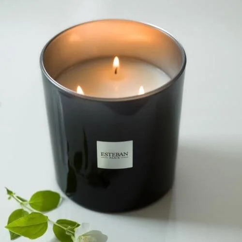 Lumanare Parfumata Amazon Water 450g - Esteban Paris Parfums - Image 3