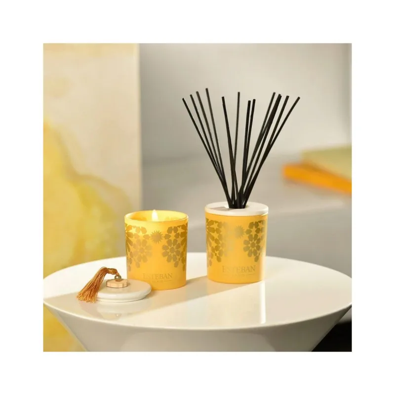 Difuzor deco. Ambre&Rezerva 100ml - Esteban Paris Parfums - Image 2