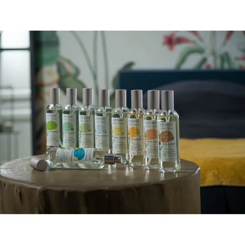 Spray Camera 100ml Amber&amp;Balms - Esteban Paris Parfums - Image 5