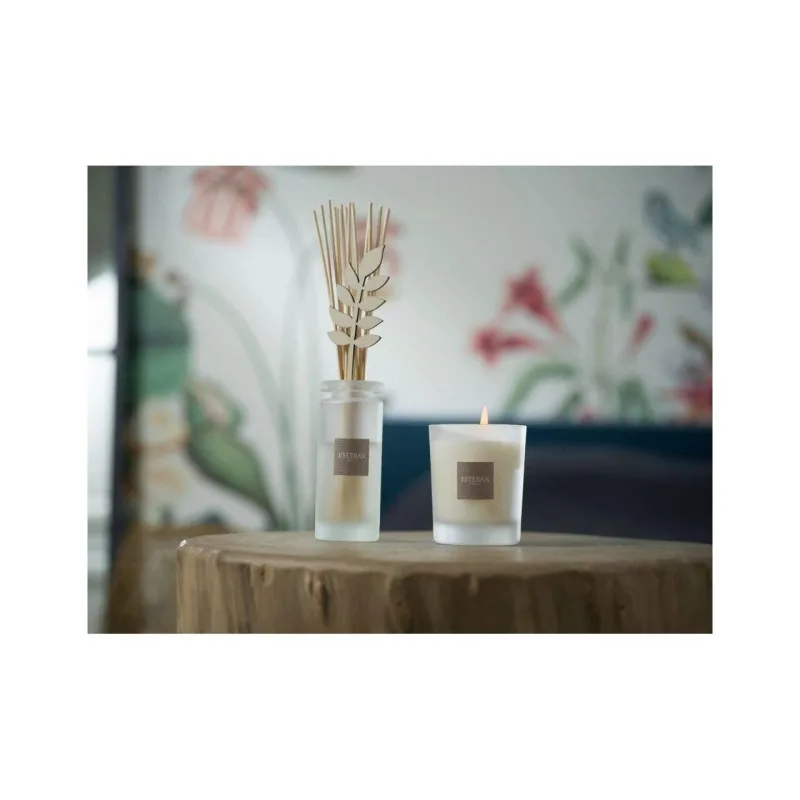 Rezerva parfum 500ml Amber&Balms - Esteban Paris Parfums - Image 2