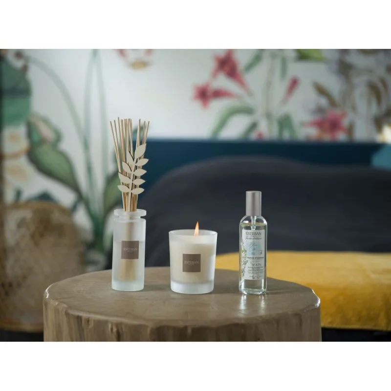 Difuzor Parfum White Cotton 100ml - Esteban Paris Parfums - Image 8