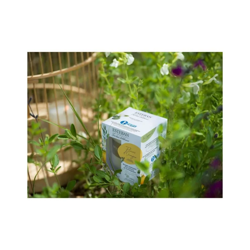 Lumanare Parfumata White Cotton - Esteban Paris Parfums - Image 3
