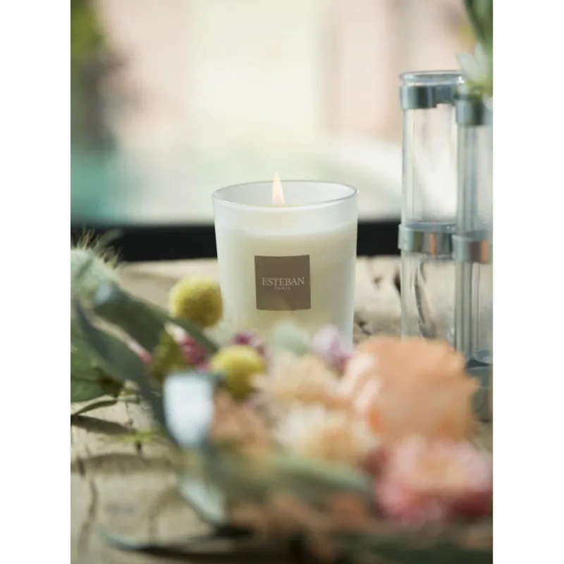 Lumanare Parfumata White Cotton - Esteban Paris Parfums - Image 9