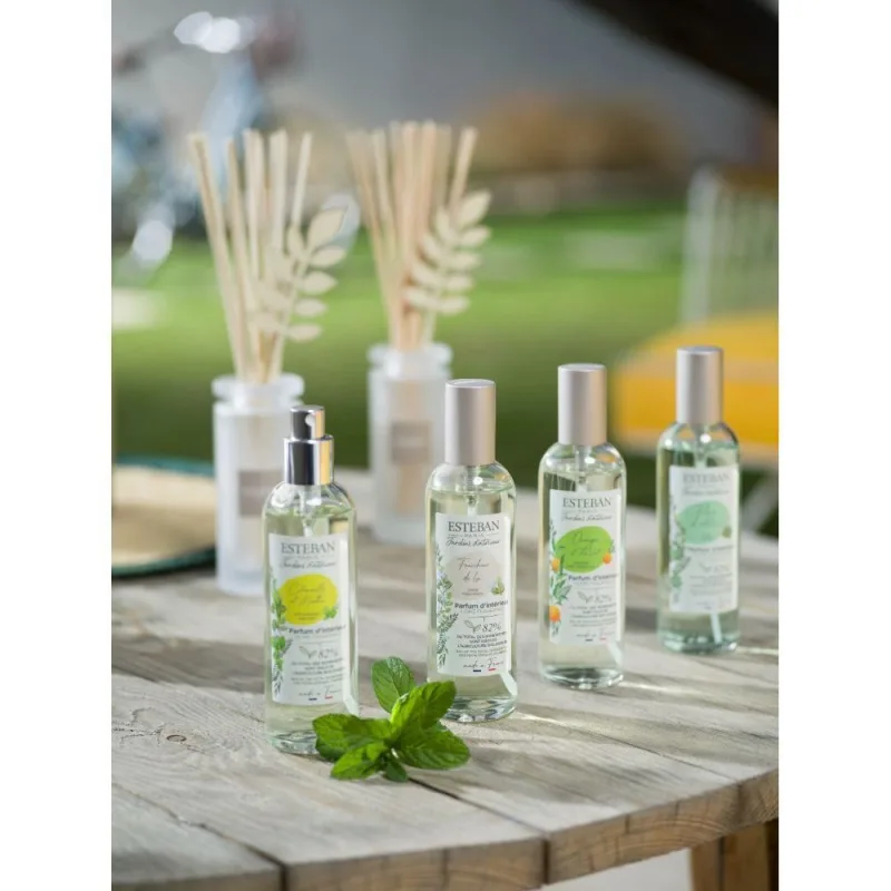 Spray Camera 100ml Lemongrass&Mint - Esteban Paris Parfums - Image 2