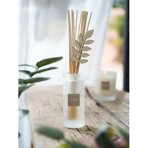 Rezerva parfum 250ml Lemongrass&Mint - Esteban Paris Parfums - Image 4