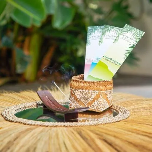 Betisoare Parfumate Lemongrass&Mint - Esteban Paris Parfums - Image 4