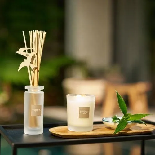 Lumanare parfumata Lemongrass&Mint - Esteban Paris Parfums - Image 6