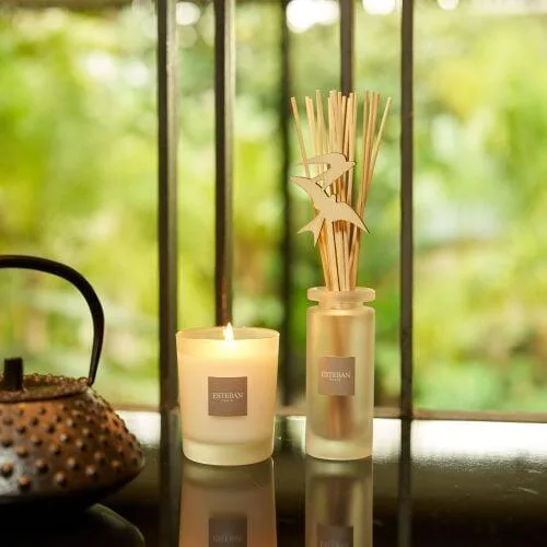 Difuzor Parfum Lemongrass&Mint 100ml - Esteban Paris Parfums - Image 6