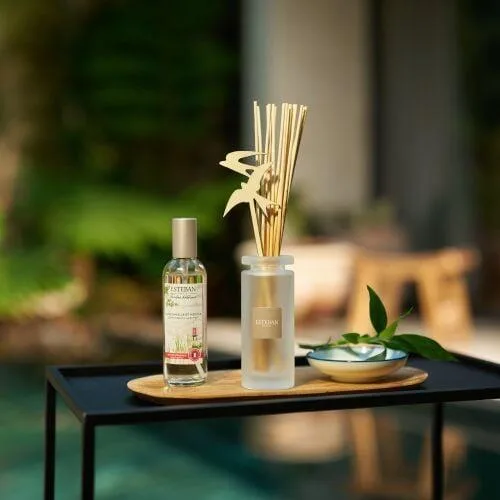 Rezerva Parfum Lemongrass&Mint 500ml - Esteban Paris Parfums - Image 5