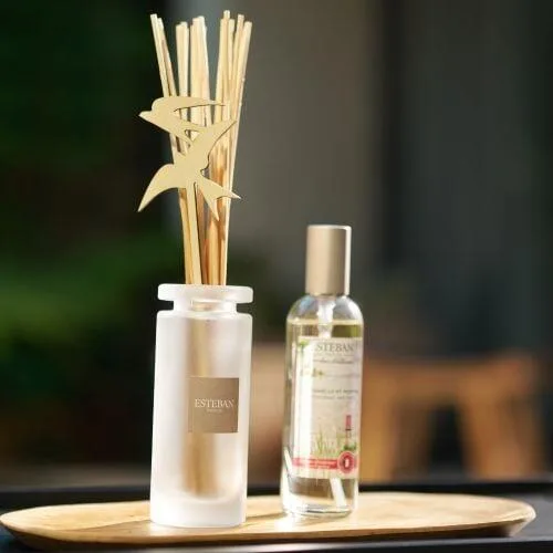 Rezerva Parfum Lemongrass&amp;Mint 250ml - Esteban Paris Parfums - Image 7
