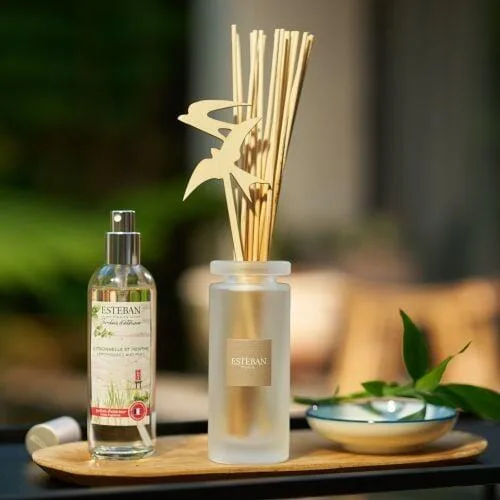 Spray Camera 100 ml Lemongrass&Mint - Esteban Paris Parfums - Image 8