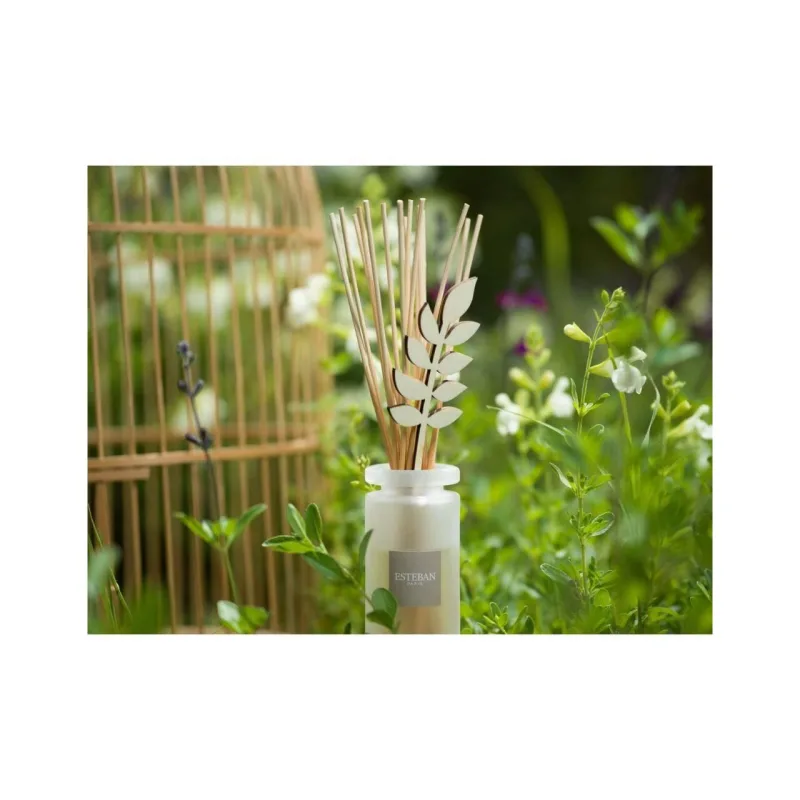 Rezerva parfum 500ml Aloe Flower - Esteban Paris Parfums - Image 2