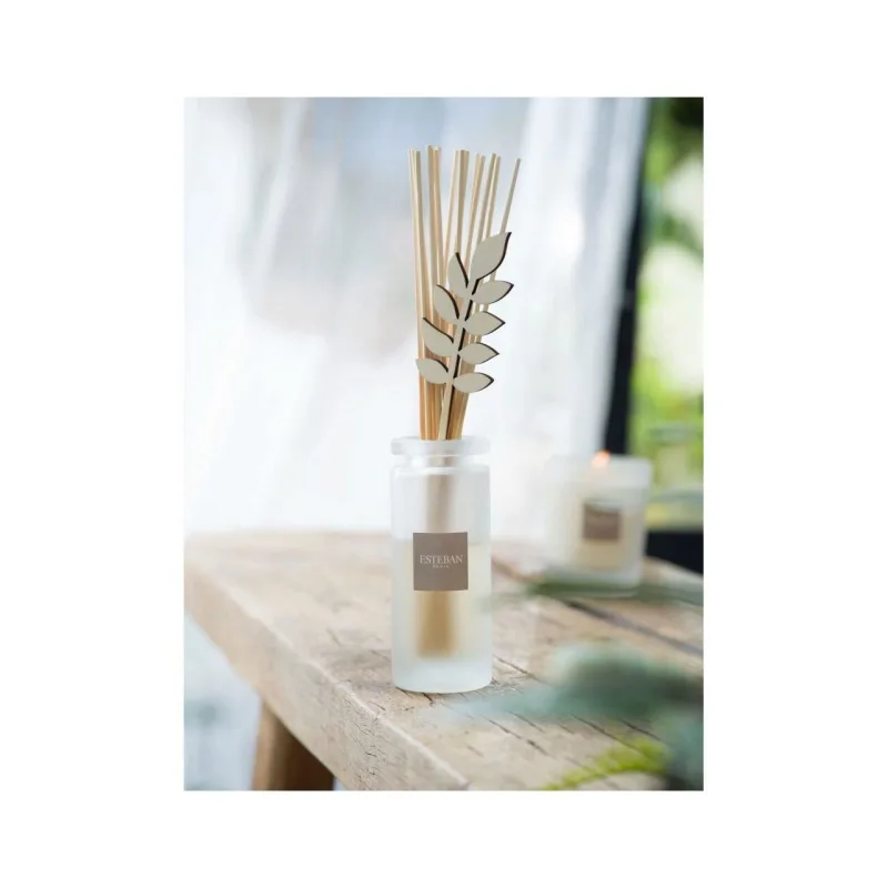 Rezerva parfum 500ml Aloe Flower - Esteban Paris Parfums - Image 4