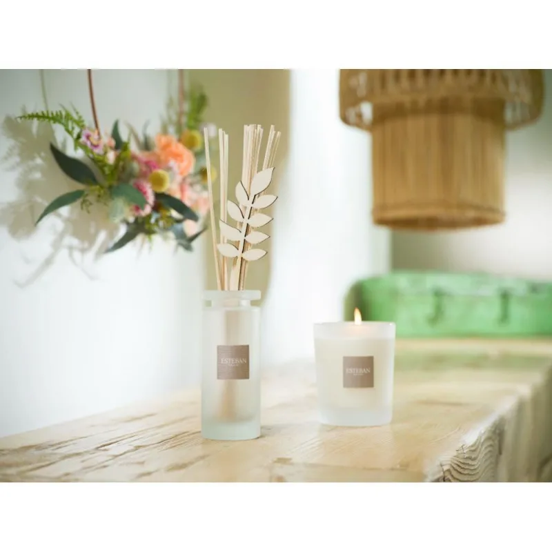 Rezerva parfum 500ml Aloe Flower - Esteban Paris Parfums - Image 10
