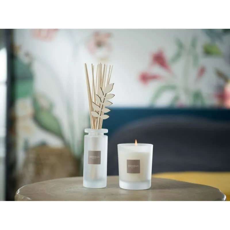Difuzor Parfum Linen Freshness 100ml - Esteban Paris Parfums - Image 6