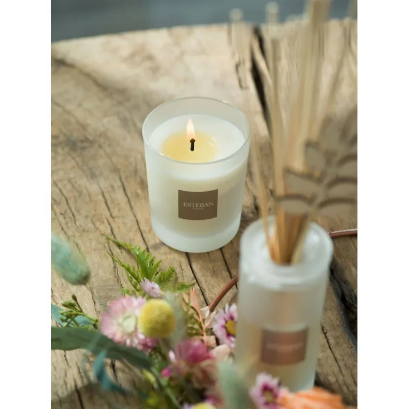 Difuzor Parfum Linen Freshness 100ml - Esteban Paris Parfums - Image 7