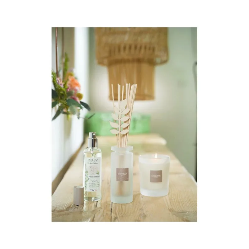 Spray Camera 100ml Linen Freshness - Esteban Paris Parfums - Image 4
