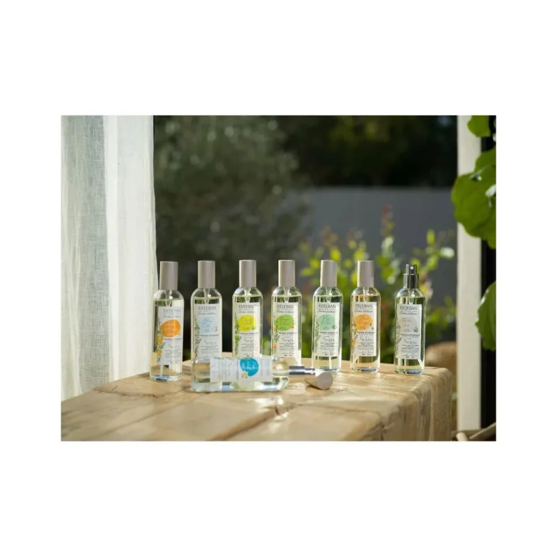 Spray Camera 100ml Linen Freshness - Esteban Paris Parfums - Image 5
