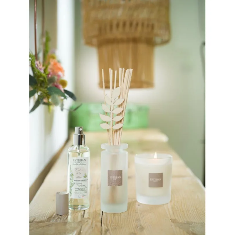 Spray Camera 100ml Linen Freshness - Esteban Paris Parfums - Image 7