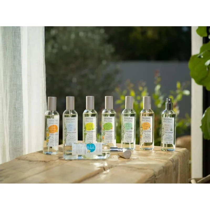 Spray Camera 100ml Linen Freshness - Esteban Paris Parfums - Image 8
