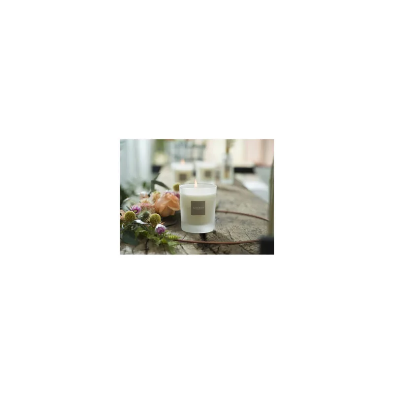 Lumanare Parfumata Linen Freshness - Esteban Paris Parfums - Image 4