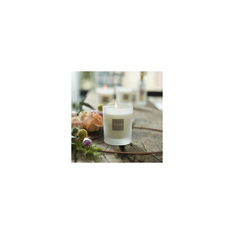 Lumanare Parfumata Linen Freshness - Esteban Paris Parfums - Image 6