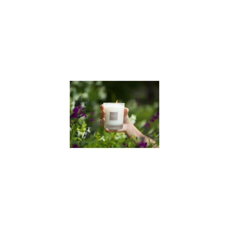 Lumanare Parfumata Linen Freshness - Esteban Paris Parfums - Image 9