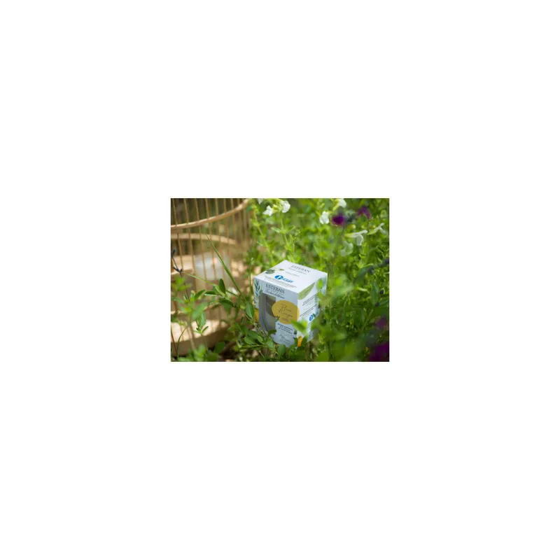Lumanare Parfumata Linen Freshness - Esteban Paris Parfums - Image 10