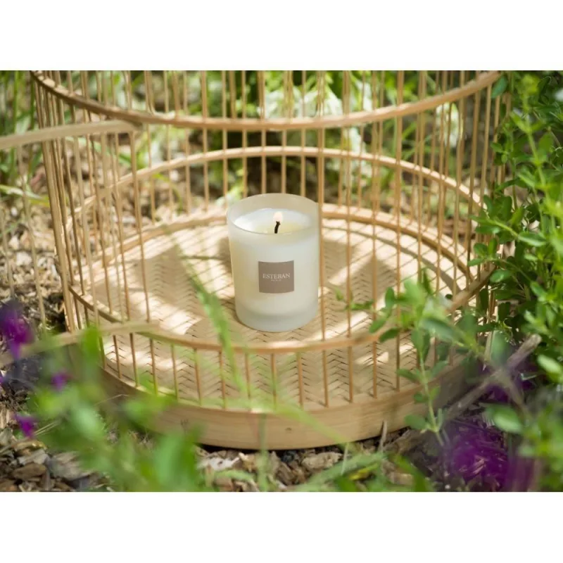 Lumanare Parfumata Orange Blossoms - Esteban Paris Parfums - Image 10