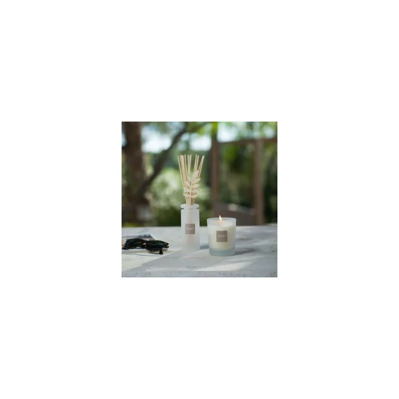 Difuzor Parfum Pomegranate&Lime 100ml - Esteban Paris Parfums - Image 6