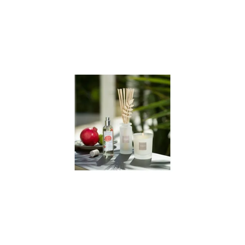 Rezerva parfum 250ml Pomegranate&amp;Lime - Esteban Paris Parfums - Image 3