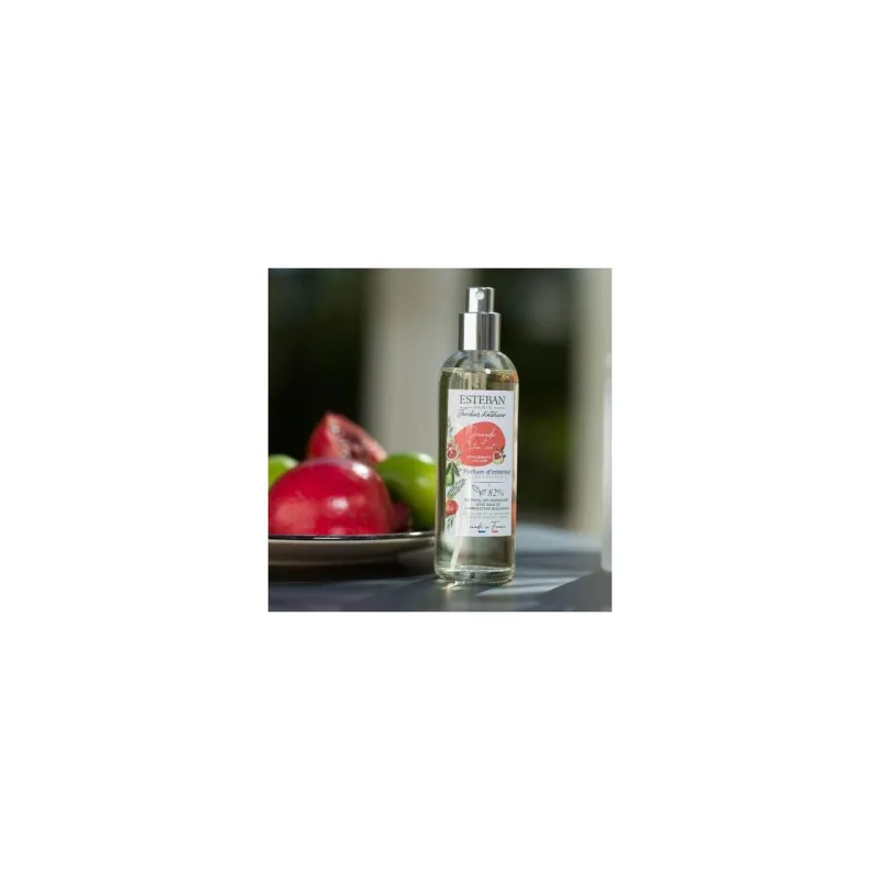 Spray Camera 100ml Pomegranate&Lime - Esteban Paris Parfums - Image 2