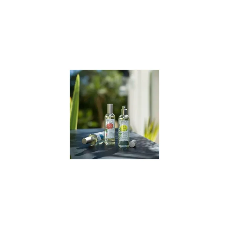 Spray Camera 100ml Pomegranate&Lime - Esteban Paris Parfums - Image 3