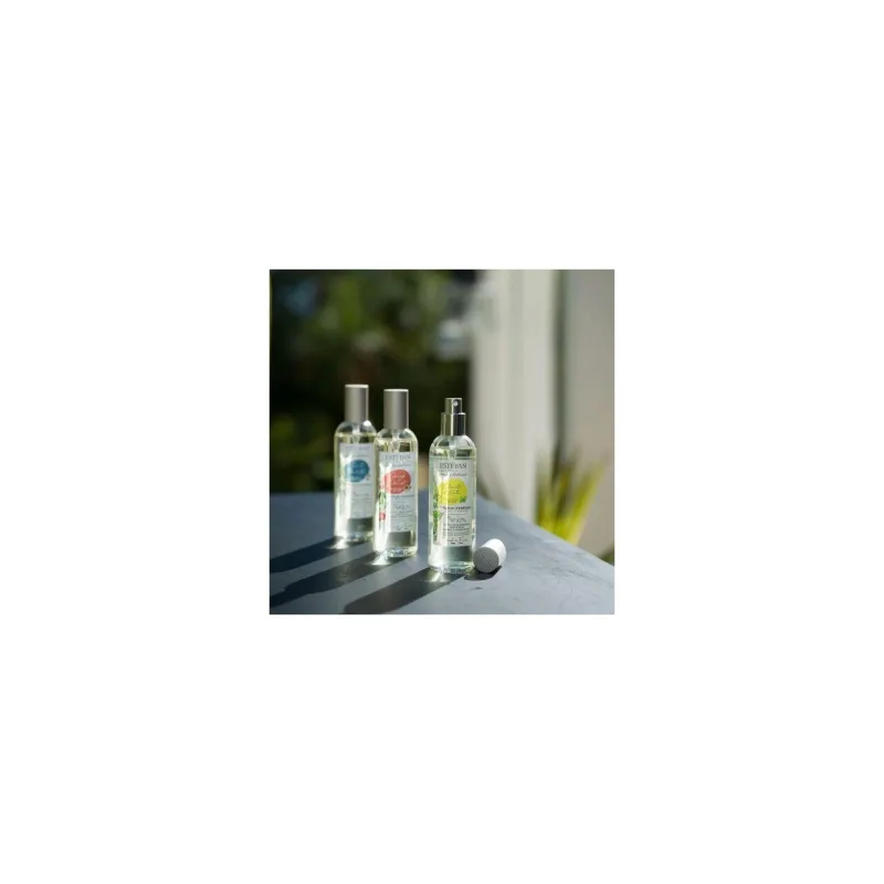 Spray Camera 100ml Pomegranate&Lime - Esteban Paris Parfums - Image 4