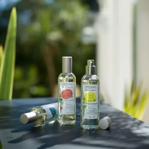 Spray Camera 100ml Pomegranate&Lime - Esteban Paris Parfums - Image 6