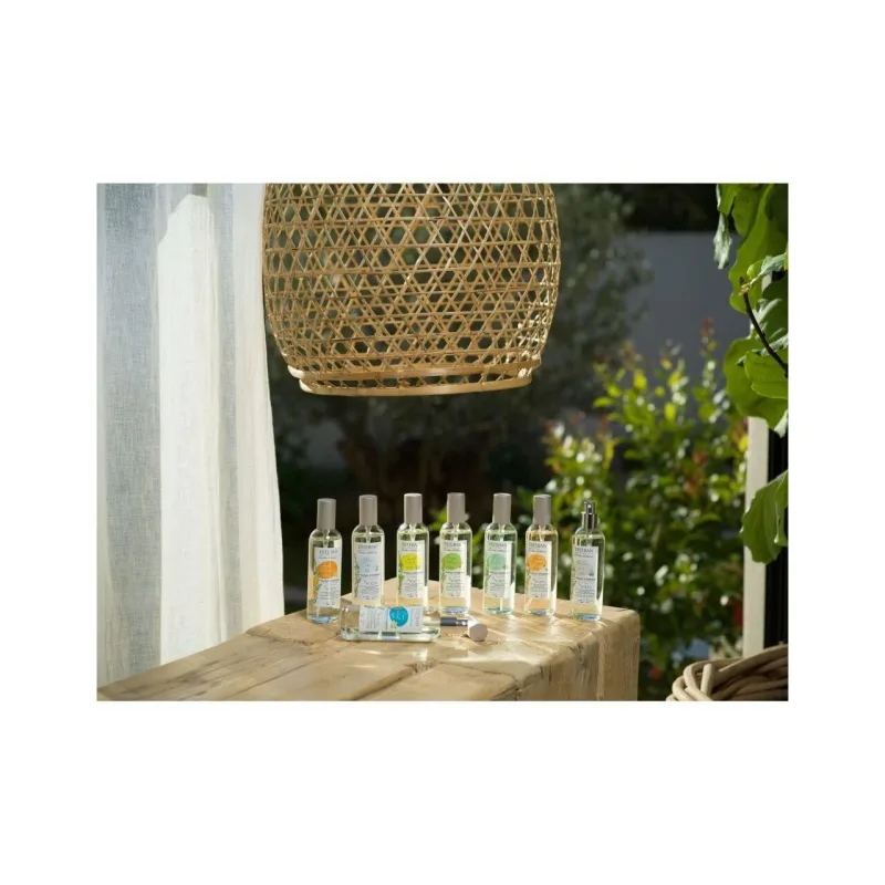 Spray Camera 100ml Sunshine Monoi - Esteban Paris Parfums - Image 3
