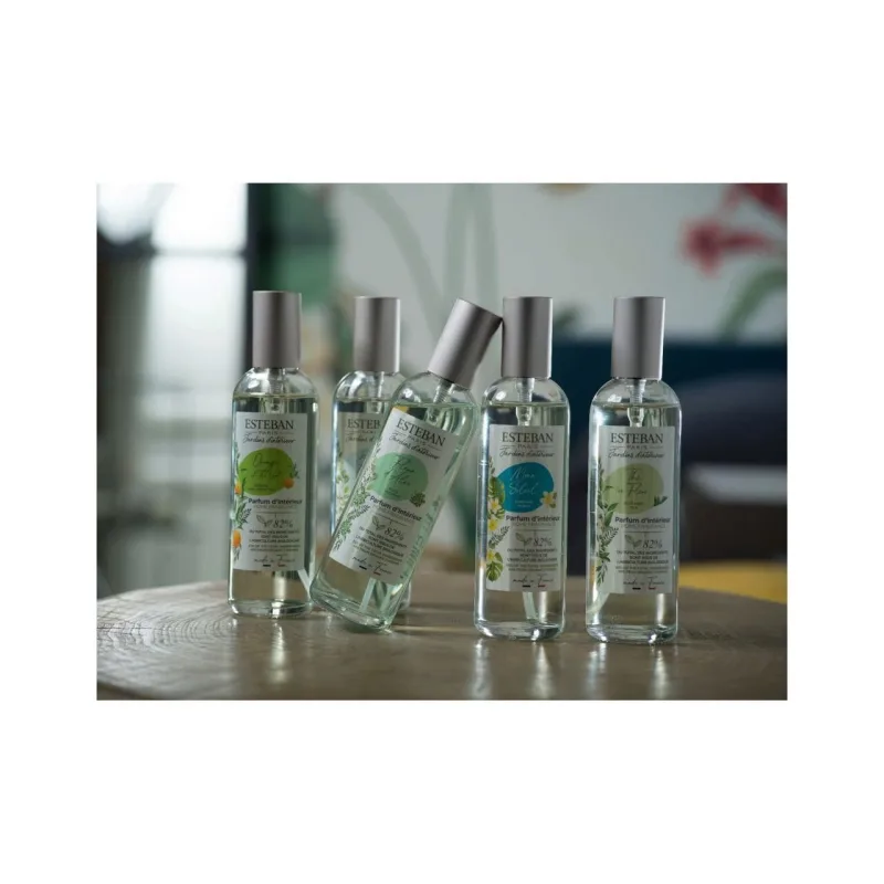 Spray Camera 100ml Sunshine Monoi - Esteban Paris Parfums - Image 4