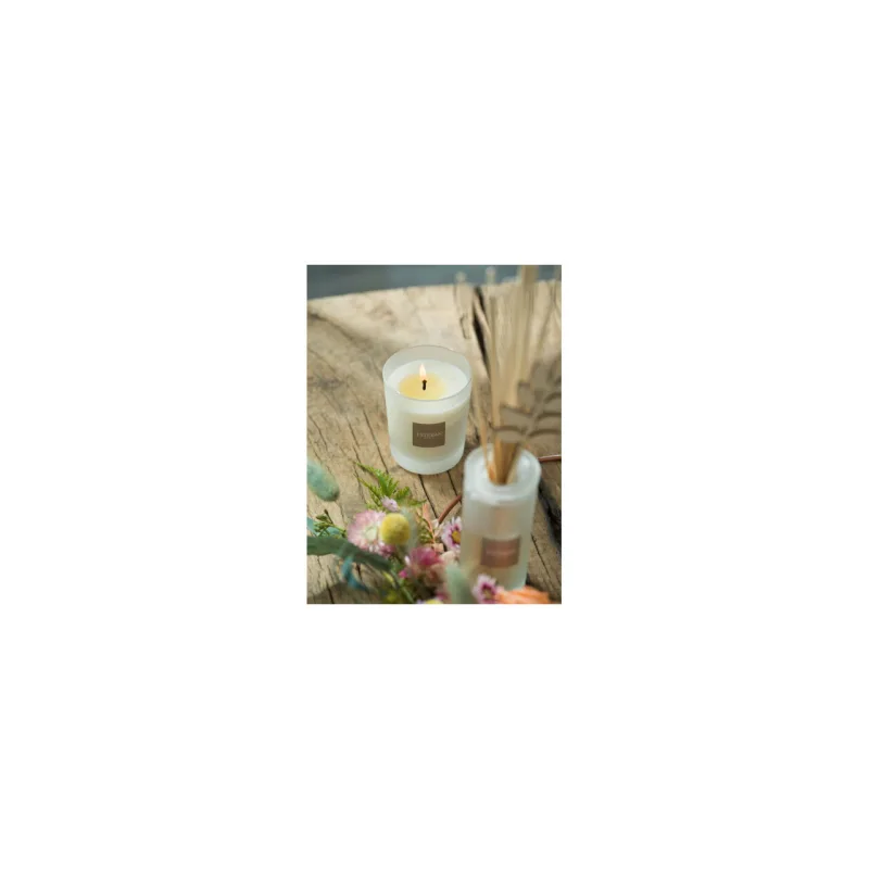 Difuzor Parfum Orange&Green Tea 100ml - Esteban Paris Parfums - Image 8