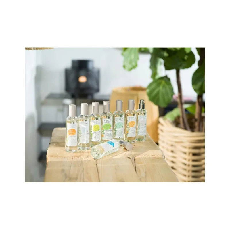 Spray Camera 100ml Orange&Green Tea - Esteban Paris Parfums - Image 2
