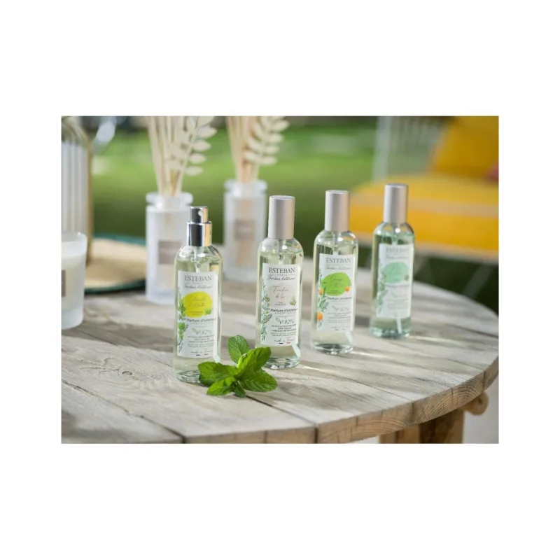 Spray Camera 100ml Orange&Green Tea - Esteban Paris Parfums - Image 4