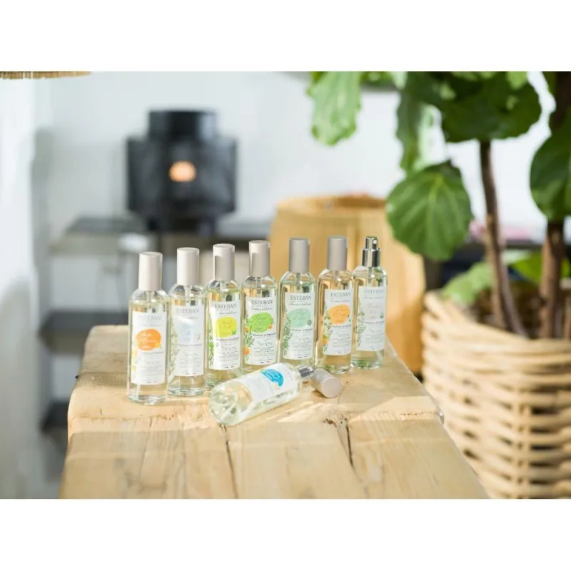 Spray Camera 100ml Orange&Green Tea - Esteban Paris Parfums - Image 5