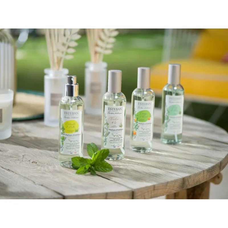 Spray Camera 100ml Orange&Green Tea - Esteban Paris Parfums - Image 7