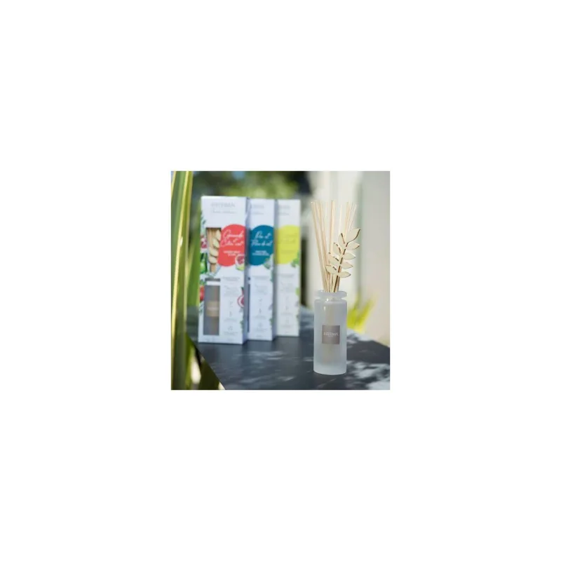 Difuzor Parfum Pine&Fleur de Sel 100ml - Esteban Paris Parfums - Image 2