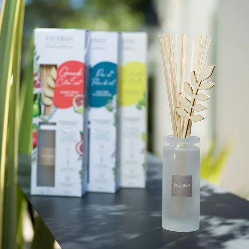 Difuzor Parfum Pine&Fleur de Sel 100ml - Esteban Paris Parfums - Image 13