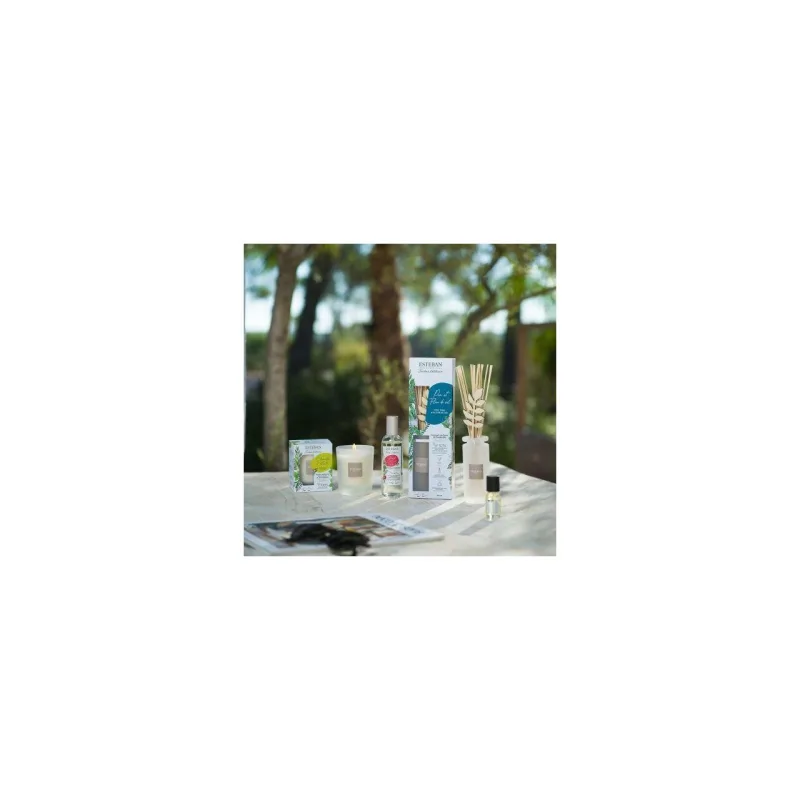 Difuzor Parfum Pine&Fleur de Sel 100ml - Esteban Paris Parfums - Image 3
