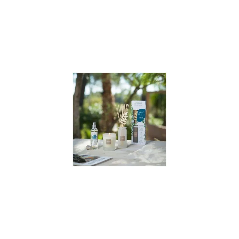 Difuzor Parfum Pine&Fleur de Sel 100ml - Esteban Paris Parfums - Image 5